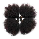 10A Grade Kinky Curly #1B